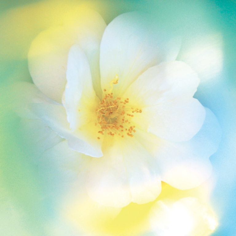 Handling Conflicts with Love and Grace